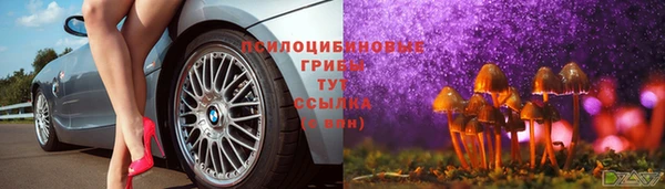 ECSTASY Алексеевка